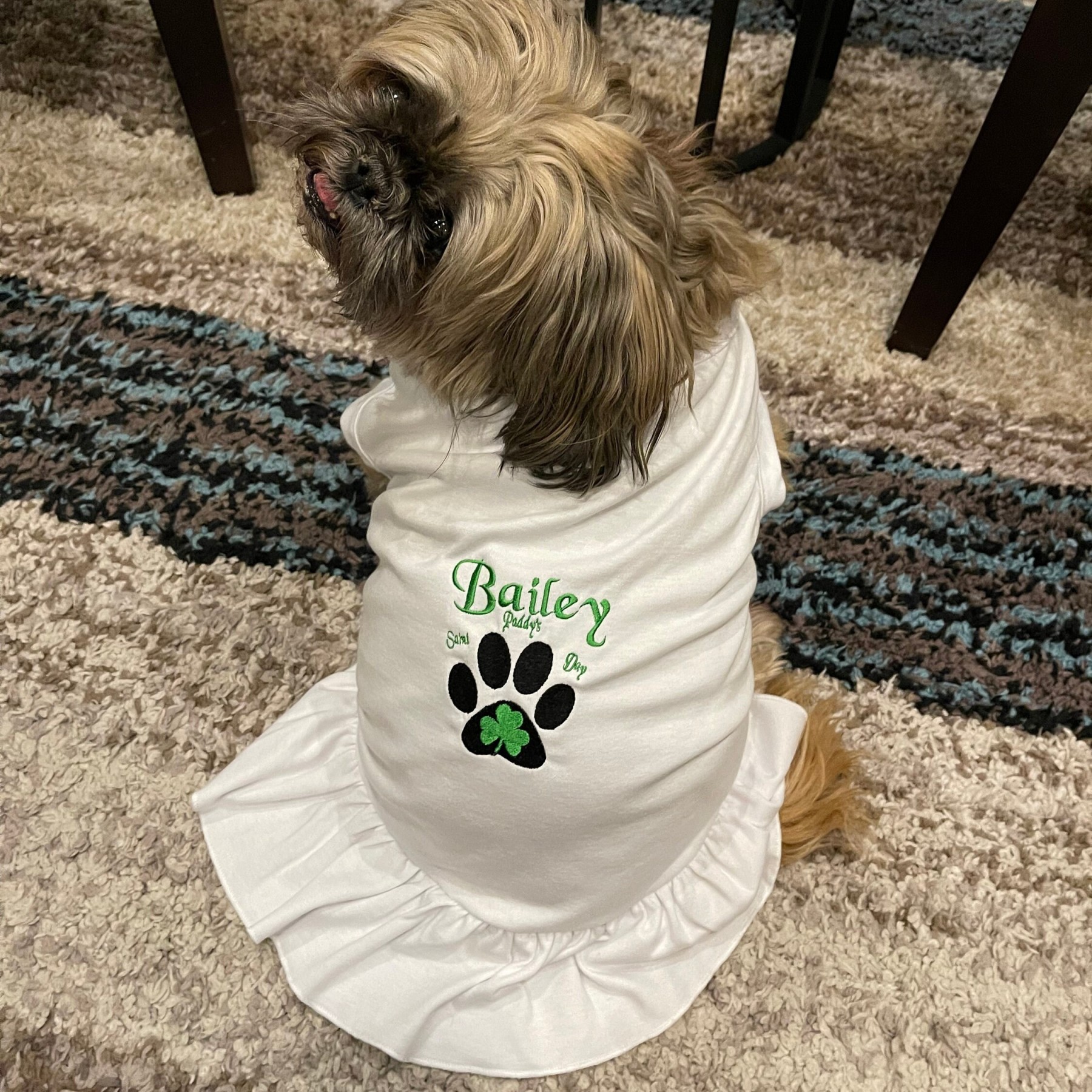 Personalized Soft Puppy Dress with Ruffle | CWPet26