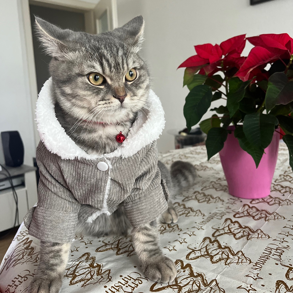 Personalized Pet Winter Warm Corduroy Sherpa Jacket | BKPet290