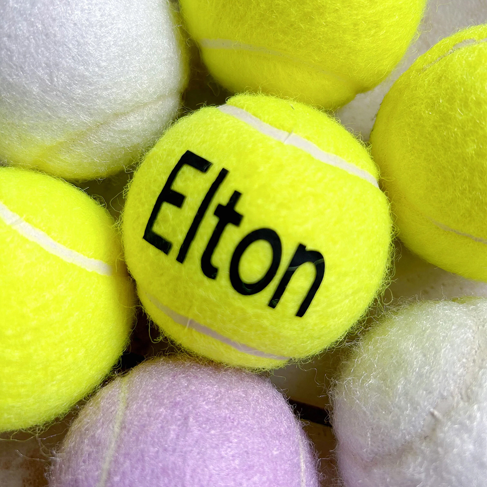 Personalized Pet Tennis Ball Toy | BKPet137