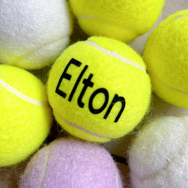 Personalized Pet Tennis Ball Toy | BKPet137