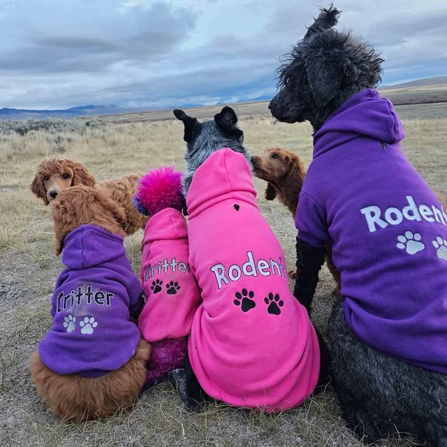 Personalized Warm Puppy Hoodie for Comfort & Unique | BKPet28