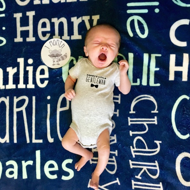 Personalized Double Layers Minkey Dimple Dot Warm Blanket | CWMinky01