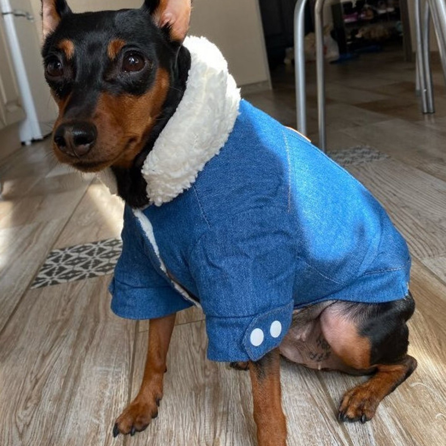 Personalized Leather Patch Pets Warm Denim Jacket | BKPet69