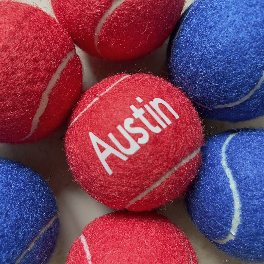 Personalized Pet Tennis Ball Toy | BKPet137