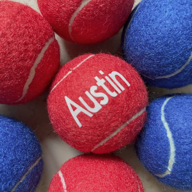 Personalized Pet Tennis Ball Toy | BKPet137