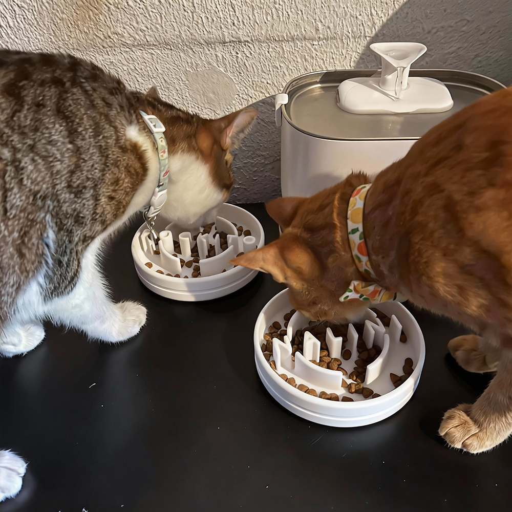 Personalized 3D Printed Dog Slow Feeder Bowl | BKPet354