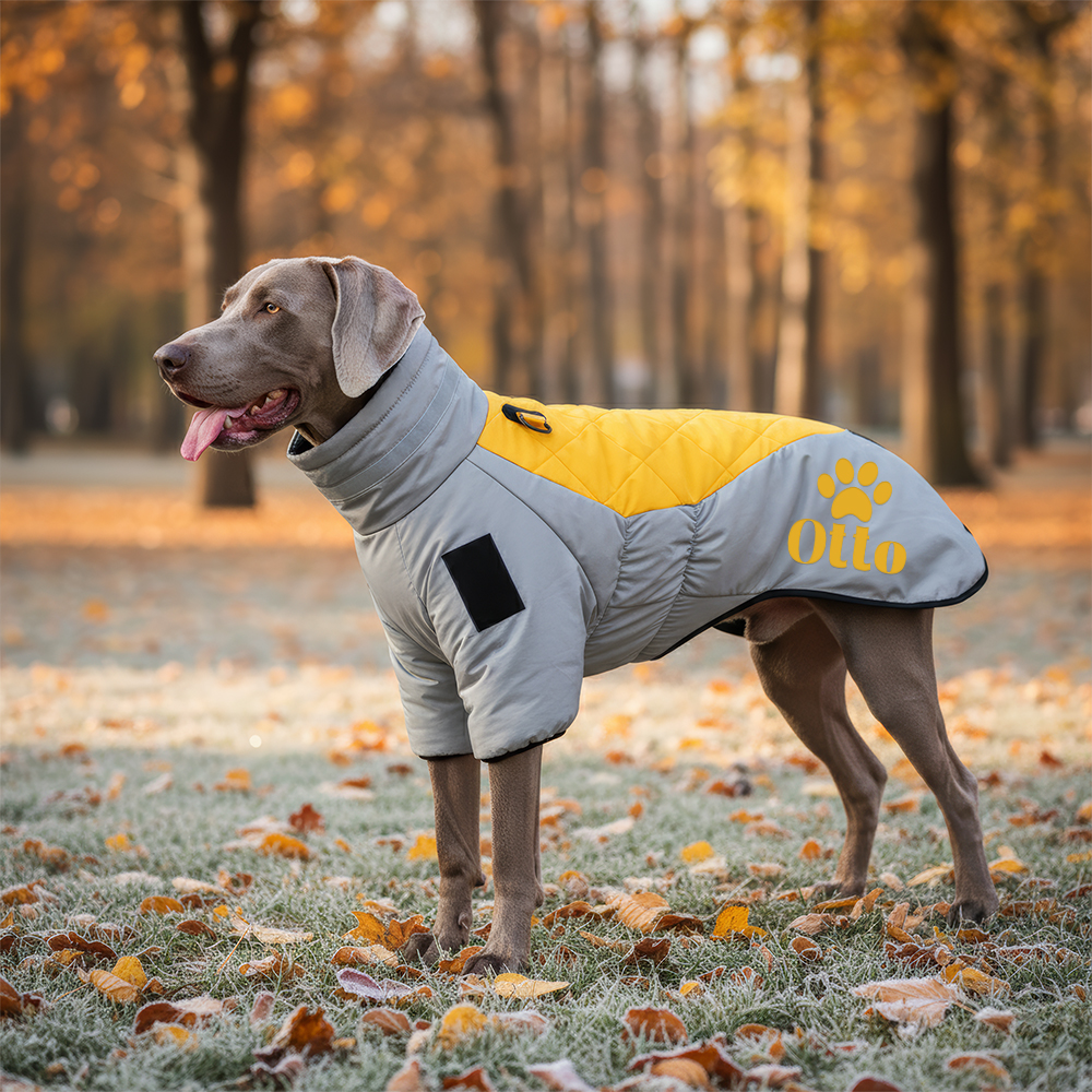 Personalized Pet Winter Warm Windproof Large Puffer Jacket | BKPet281