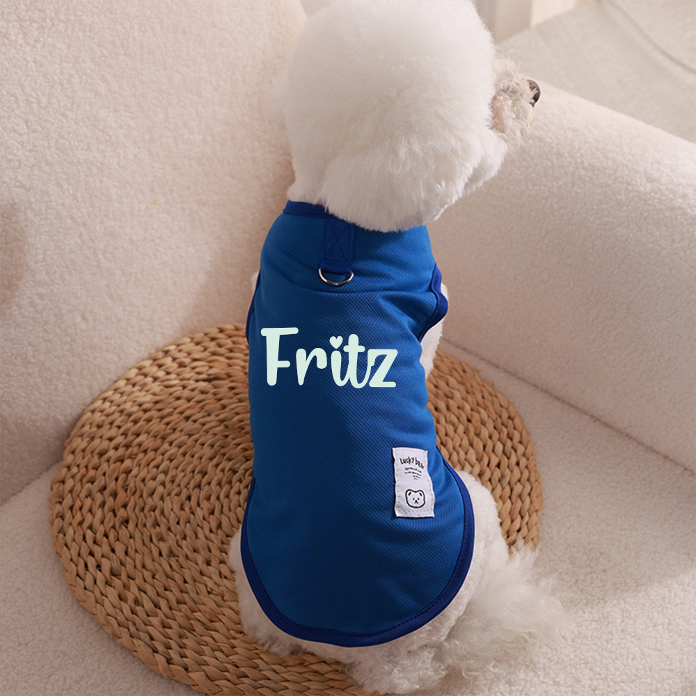 Personalized Colourful Pet Summer Cool Mesh Vest | BKPet173