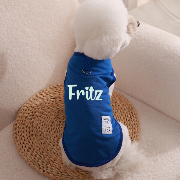 Personalized Colourful Pet Summer Cool Mesh Vest | BKPet173