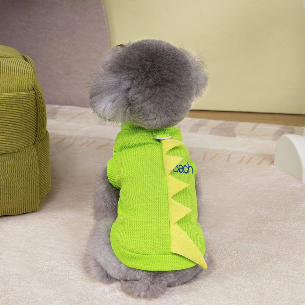 Personalized Pet Summer Lovely Dinosaur Shirt | BKPet179