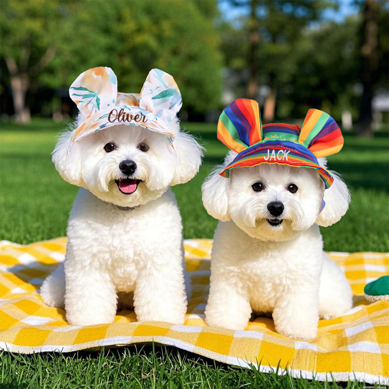 Personalized Embroidery Lovely Pet Hat with Ears | BKPet185