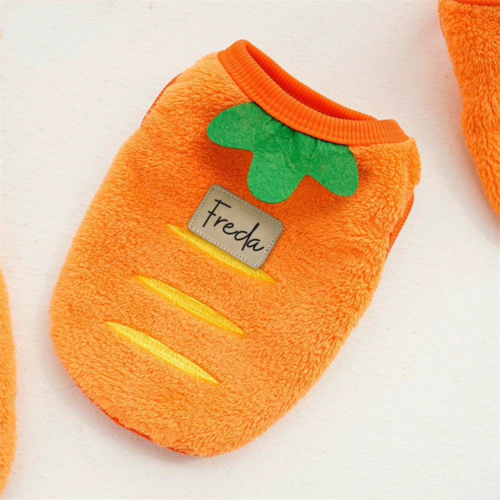 Personalized Cute Pet Soft Plush Fleece Vest | BKPet194