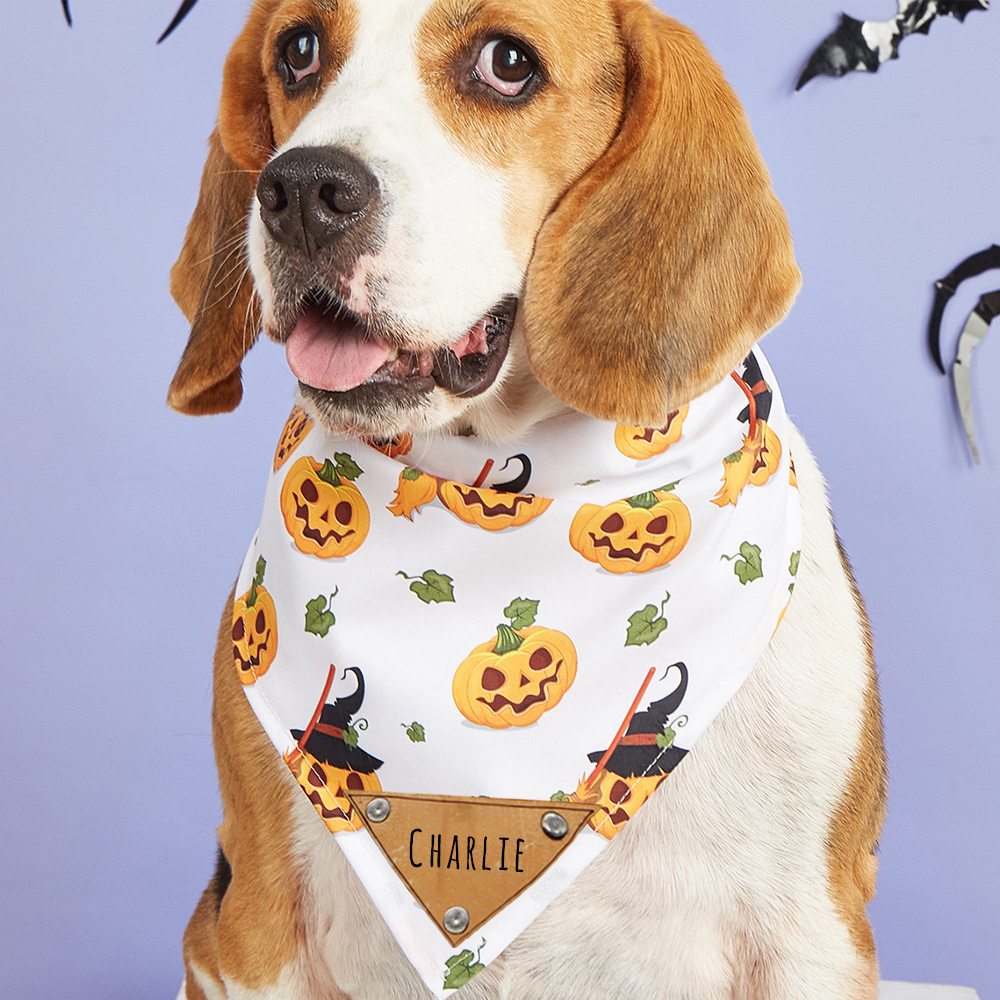 Personalized Halloween Dog Bandana for Comfort & Unique | CWHalloween57