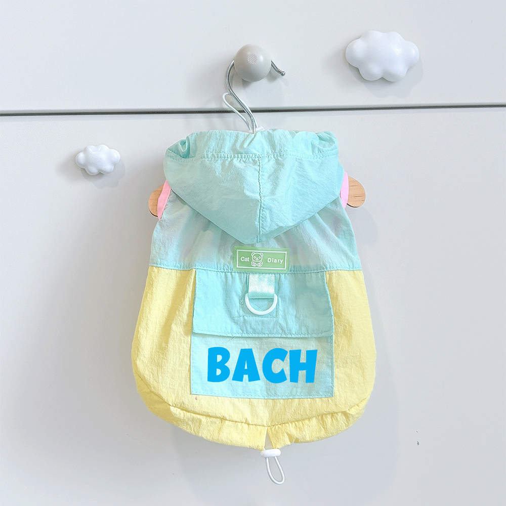 Personalized Cute Color Block Pet Summer Hoodie | BKPet207