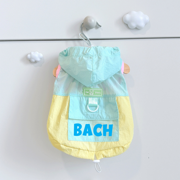 Personalized Cute Color Block Pet Summer Hoodie | BKPet207