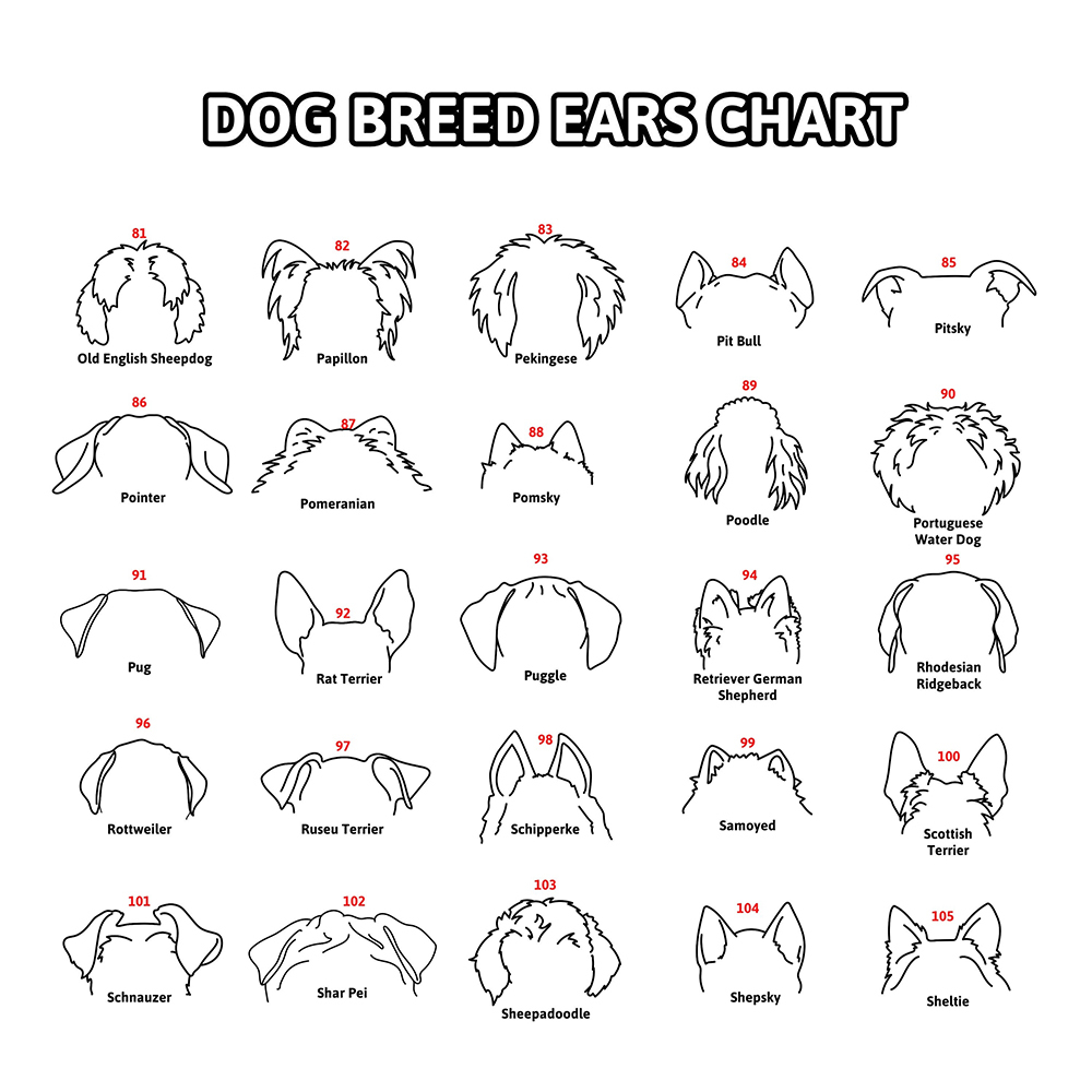 Personalized Memorial Plaque Dog Ear Collar Sign | BKPet212