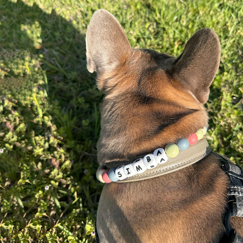 Personalized Handmade Beaded Adjustable Buckle Dog Collar | BKPet221