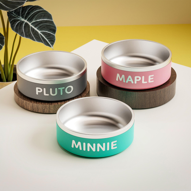 Personalized Stainless Steel Pet Food Bowl | BKPet229