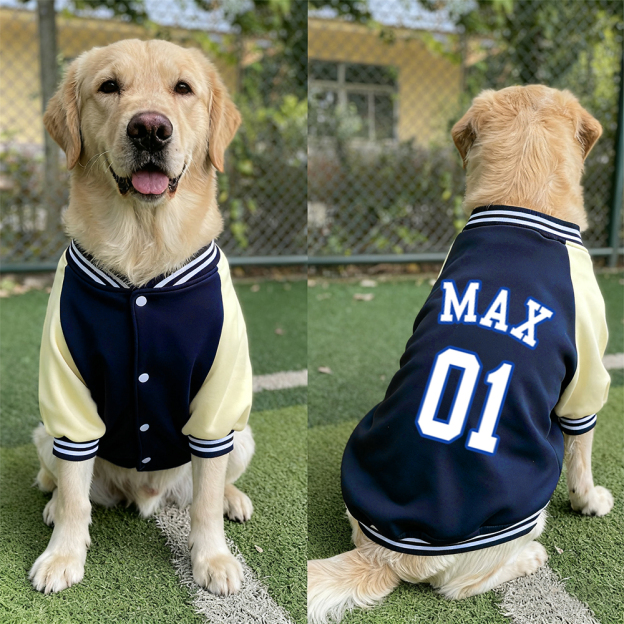 Personalized Pet Large Baseball Jacket | BKPet250