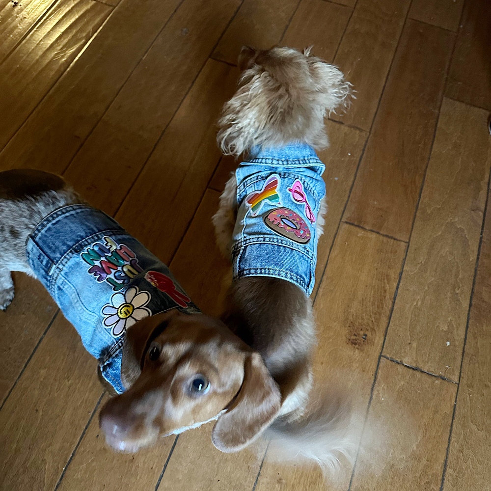 Personalized Hand Patch Pets Denim Jacket for Comfort and Unique | BKPet262