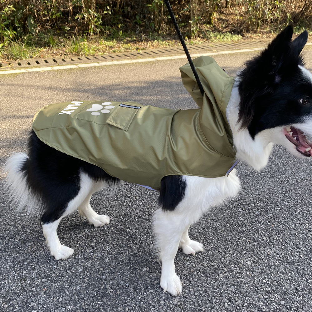 Personalized Pets Waterproof and Reflective Raincoat | BKPet270