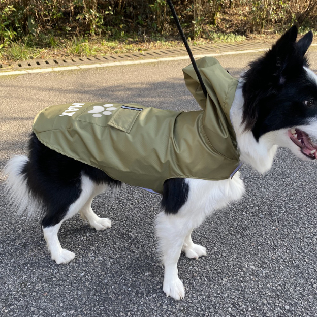 Personalized Pets Waterproof and Reflective Raincoat | BKPet270