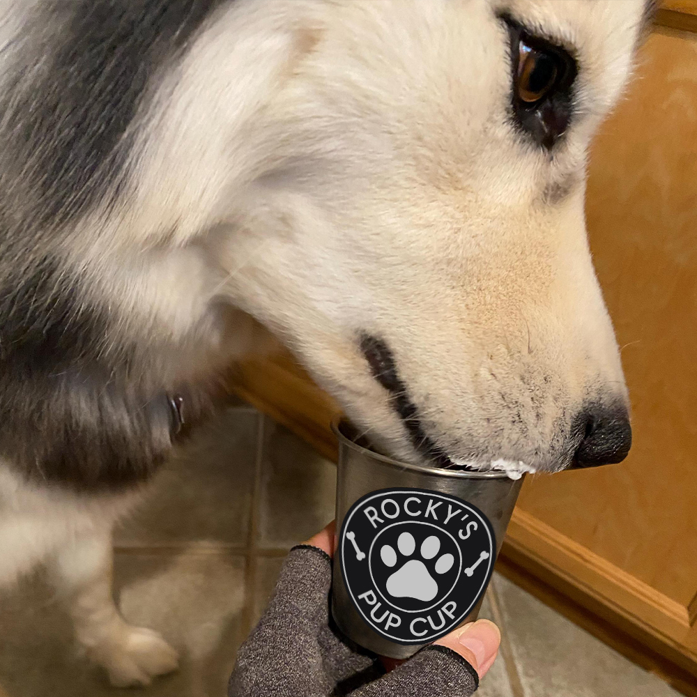 Personalized Pet Stainless Steel Reusable Pup Cup Mug | BKPet26301
