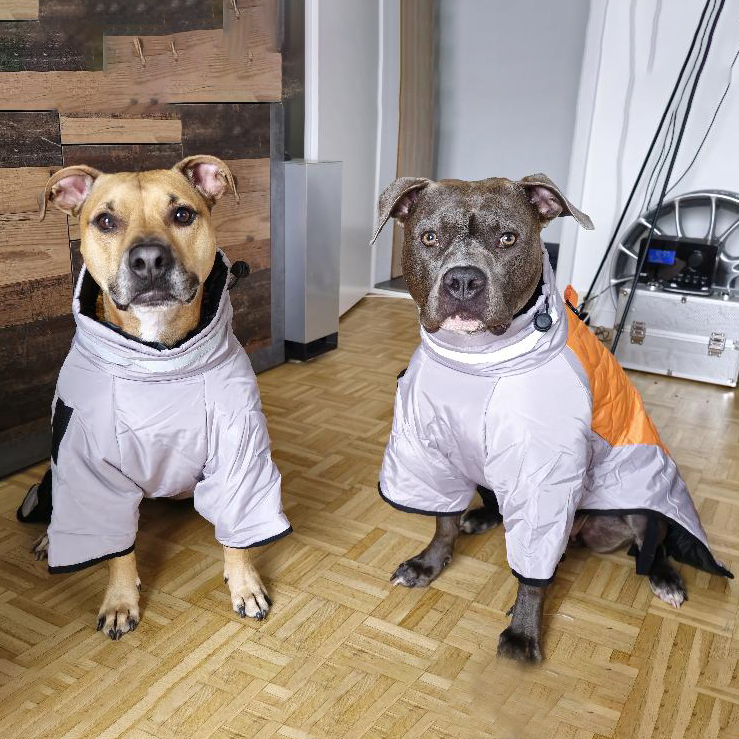 Personalized Pet Winter Warm Windproof Large Puffer Jacket | BKPet281