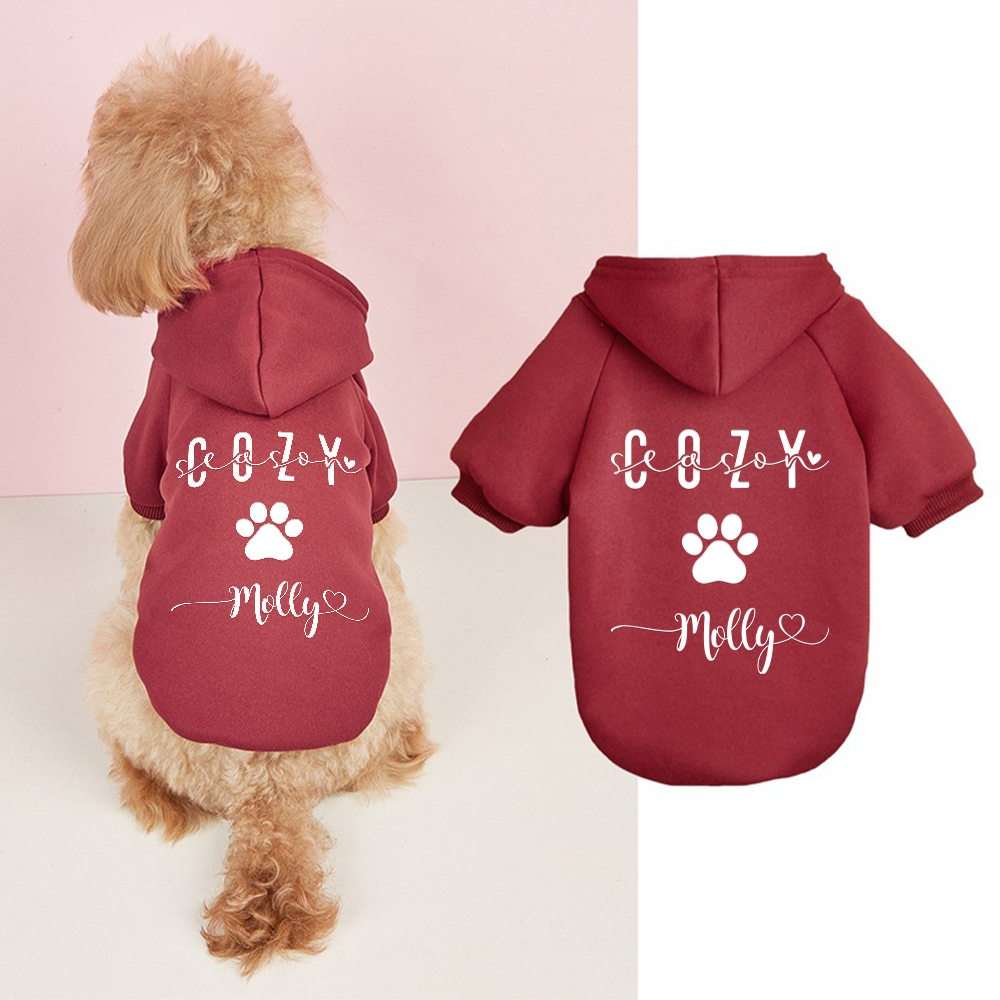 Personalized Cozy Season Warm Puppy Hoodie | BKPet282