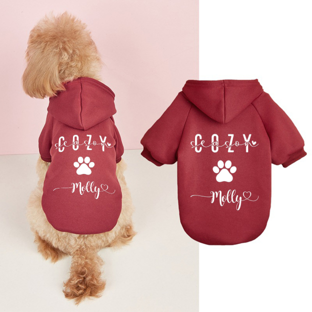 Personalized Cozy Season Warm Puppy Hoodie | BKPet282