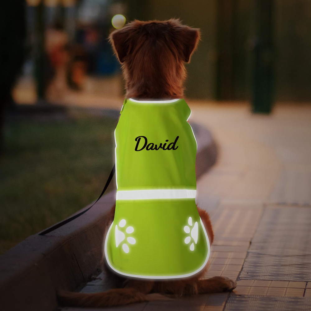  Personalized Reflective Safety Pet Safety Vest | BKPet293