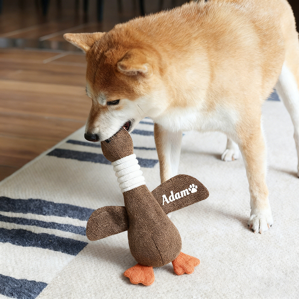 Personalized Pet Unique Duck Squeaky Toy | BKPet298