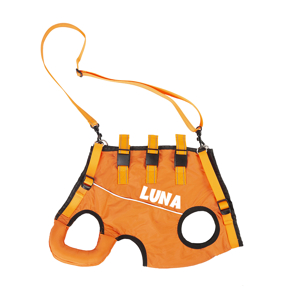Personalized Adjustable Pet Lifting Harness Breathable Full Body Support | BKPet309