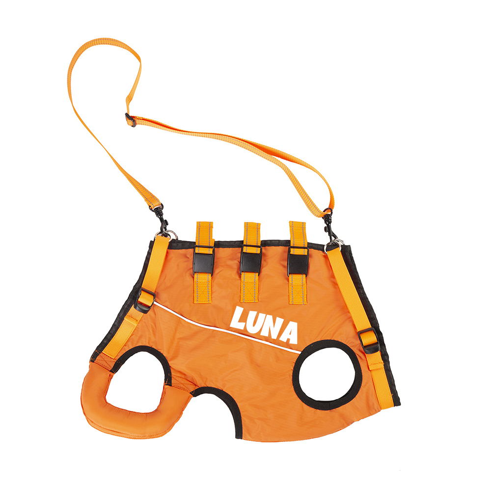 Personalized Adjustable Pet Lifting Harness Breathable Full Body Support | BKPet309