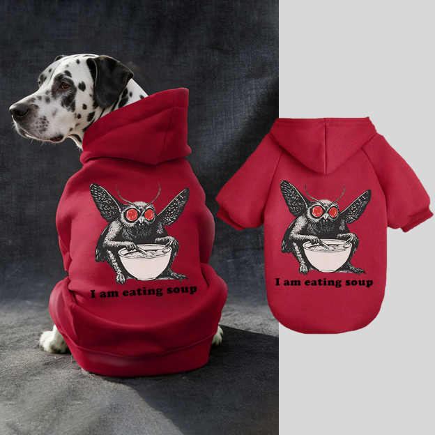 I Am Eating Soup Puppy Hoodie | BKPet318