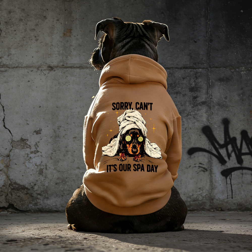 IT'S OUR SPA DAY Puppy Hoodie | BKPet339