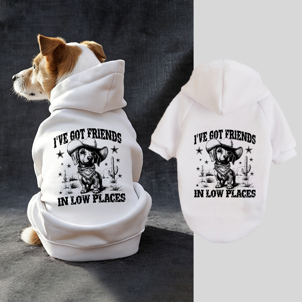 I'VE GOT FRIENDS Puppy Hoodie | BKPet340