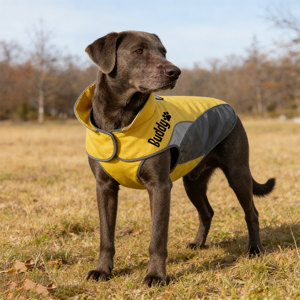 Personalized Pet Outdoor Windproof Vest | BKPet347