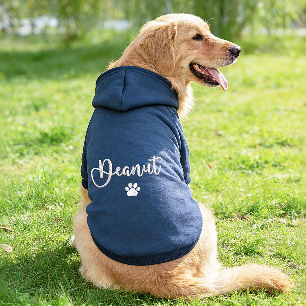 Personalized Embroidery Warm Soft Puppy Hoodie | BKPet362
