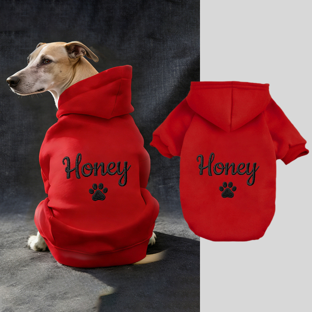 Personalized Embroidery Warm Soft Puppy Hoodie | BKPet362