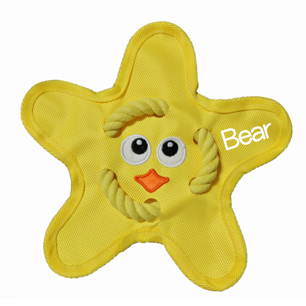 Personalized Star Flying Disc Squeaky Dog Toy | BKPet386