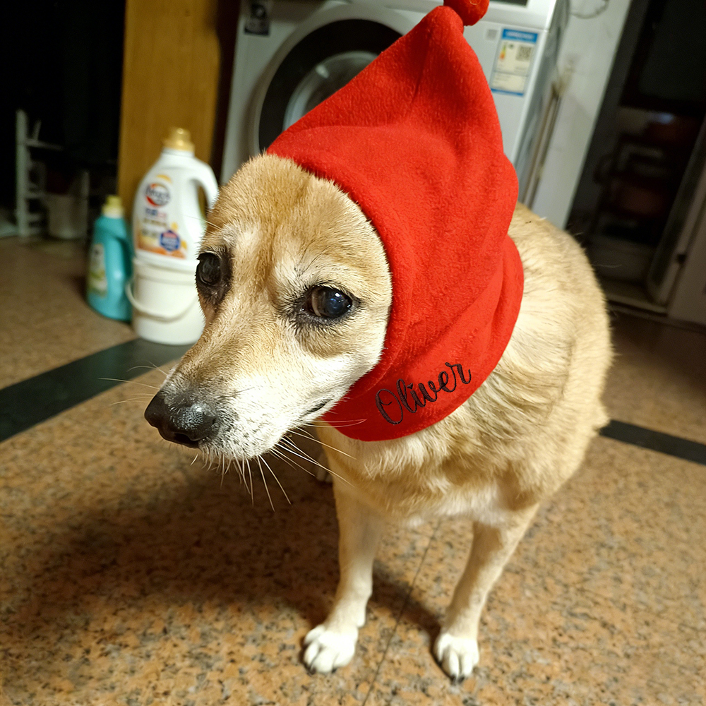 Personalized Embroidered Pet Winter Warm Cozy Fleece Hat | BKPet388