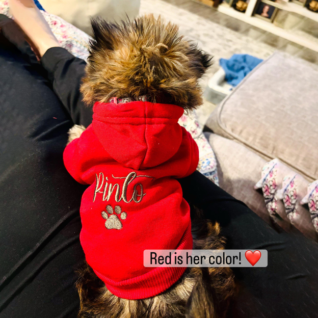 Personalized Embroidery Warm Soft Large Size Puppy Hoodie | BKPet362