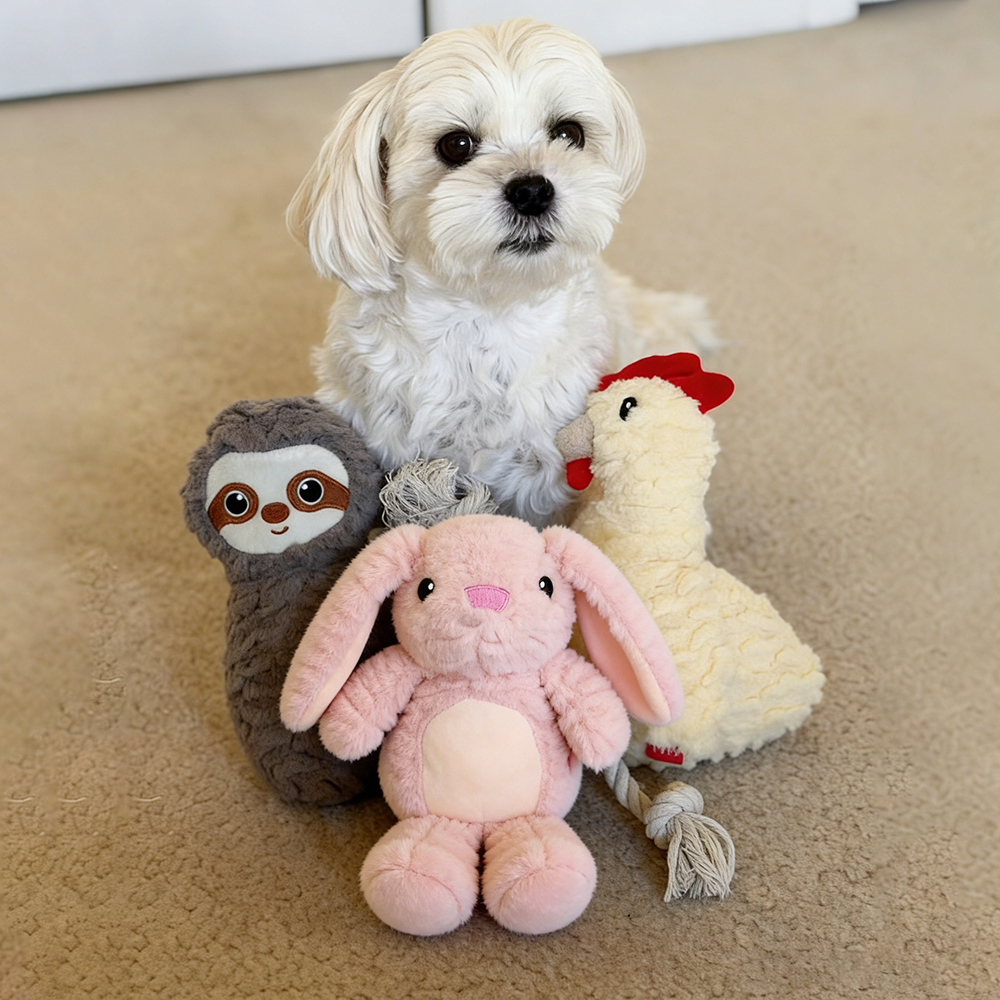 Handmade Pet Squeaky Interactive Chew Toy | BKPet396