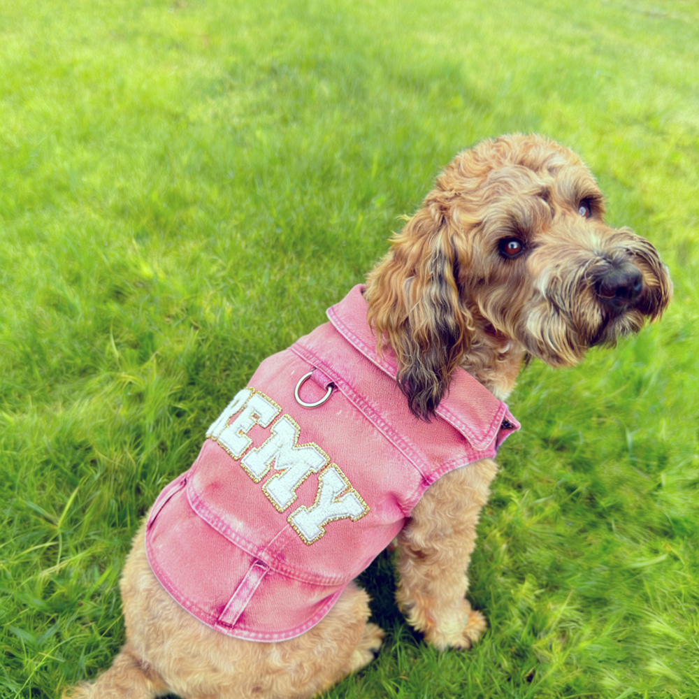 Personalized Handmade Chenille Patch Pets Denim Jacket | BKPet405