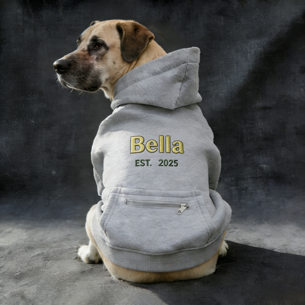 Personalized Embroidered Large Size Puppy Hoodie | BKPet412