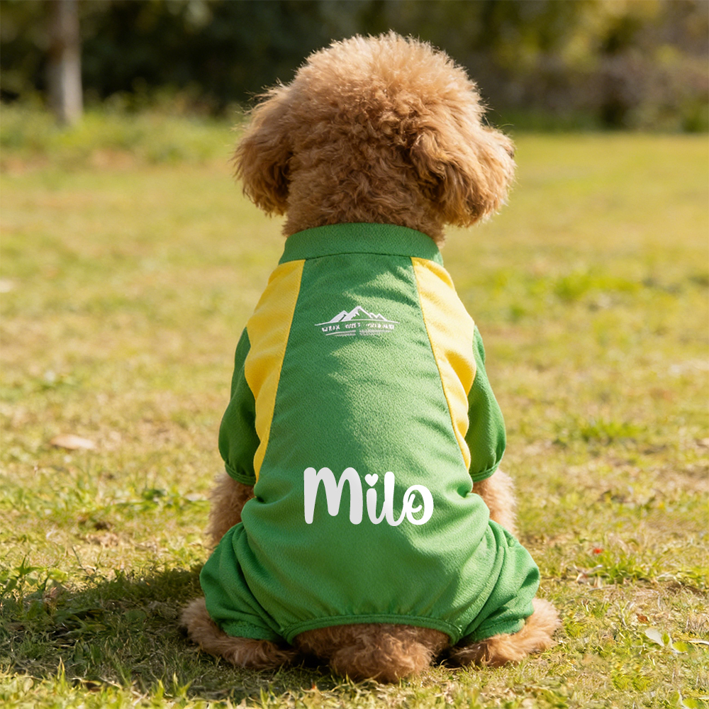Personalized All-season Large Size  Puppy Shirt | BKPet413
