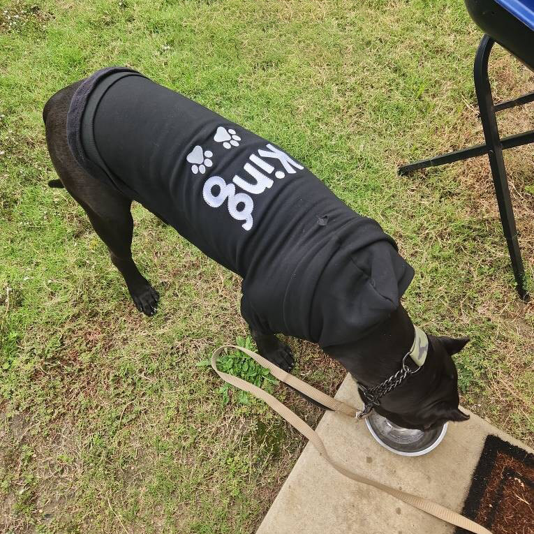 Personalized Embroidered Pet Comfortable Soft Hoodie | BKPet419