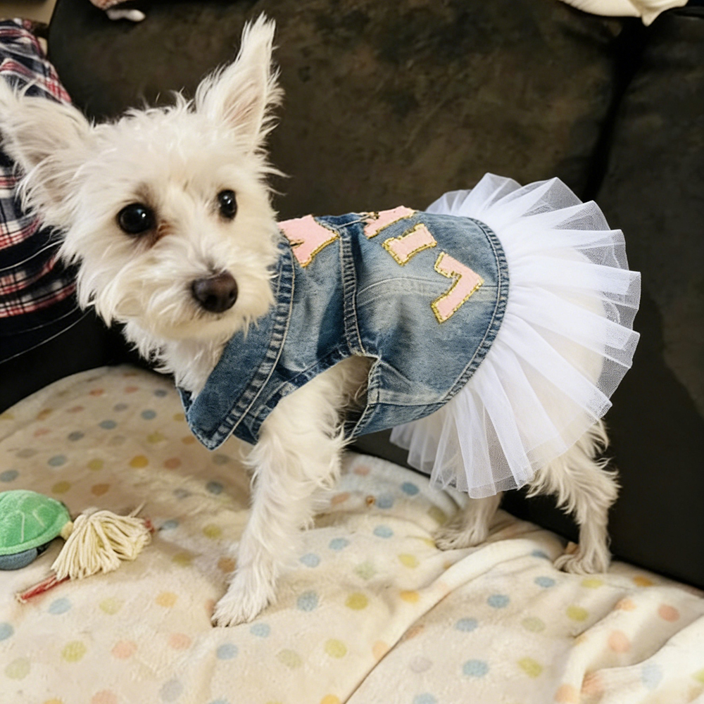 Personalized Hand Patch Pets Denim Jacket with TUTU Skirt | BKPet424