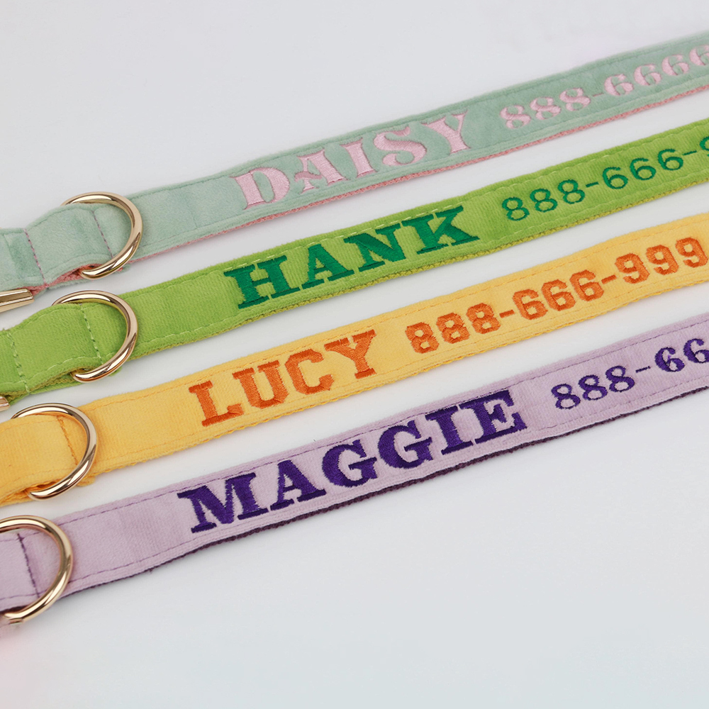 Personalized Embroidered Adjustable Velvet Pet Collar | BKPet425